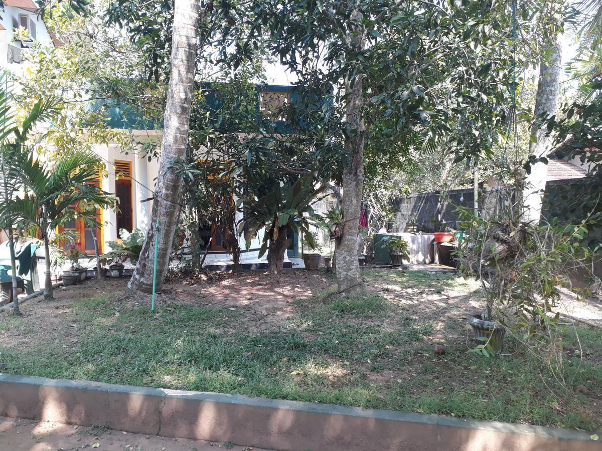 Guesthouse Sunshine ألوثغاما المظهر الخارجي الصورة